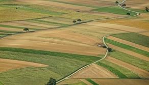 Commissari Maturità 2020 servizi agricoltura e sviluppo rurale: nomi e materie