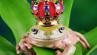 Bellezza fisica: conta davvero in amore?