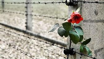 Shoah: dimenticata dalla scuola per 1 studente su 5