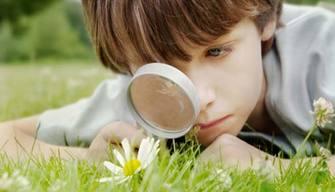 A scuola si studierà la raccolta differenziata