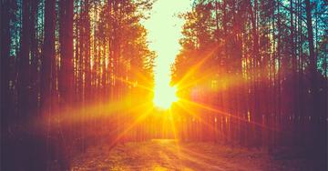 10 piccole cose da fare ogni giorno che ti rendono più intelligente