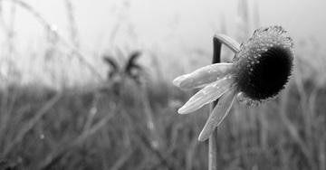 7 piccoli consigli per smettere di essere drepressi