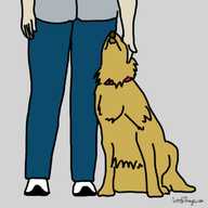 10 modi segreti con cui il vostro cane vorrebbe dirti "Ti Amo" e voi non capite