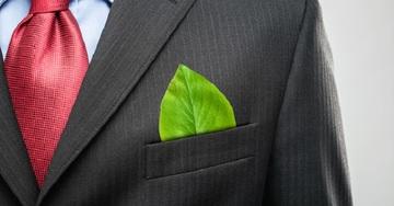 Bando Green Jobs: disponibili 150 stage retribuiti da 6 mesi