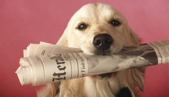 Maturità 2015: fatti e attualità da prima prova