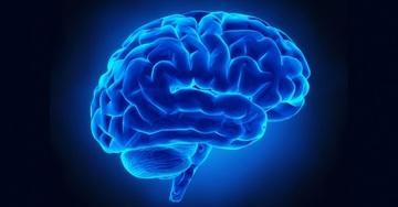 13 scoperte CURIOSE fatte da ricercatori universitari!