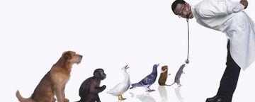 i 5 Film top per gli studenti di Scienze Veterinarie!