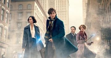 5 motivi per cui i veri fan di Harry Potter ameranno "Animali Fantastici e dove trovarli"