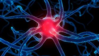 Vorresti scoprire nuove cure per le malattie? Esiste la strada per farlo!