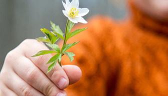 DonoDay2016: vota il tuo video preferito!