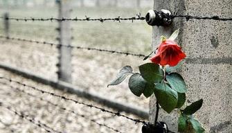 Viaggio della Memoria: io ho fatto la valigia prima di partire, loro non hanno potuto