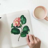 Frasi per la laurea: auguri divertenti, citazioni famose e congratulazioni non banali