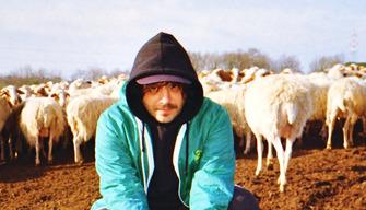 Calcutta, le canzoni di Evergreen: citazioni e curiosità