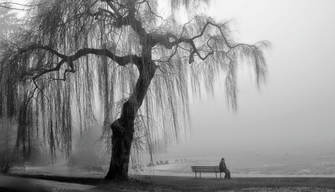 Crisi culturale e letteraria tra Ottocento e Novecento