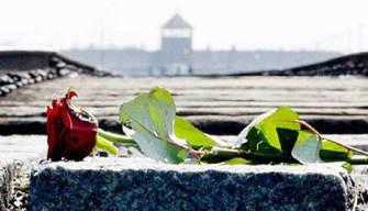 Giorno della Memoria: le frasi e le testimonianze per non dimenticare