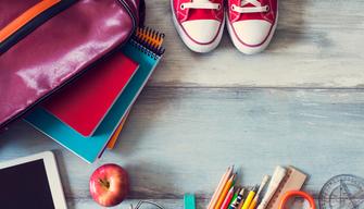 Iscrizioni on line 2019 2020: il Liceo Scientifico è il più amato dagli (studenti) italiani