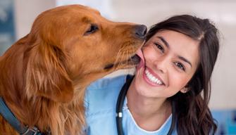 Risultati test Veterinaria 2019: graduatoria e punteggi tutti gli atenei