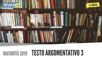 Prima prova testo argomentativo Maturità 2019: L'eredità del '900