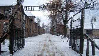 Il Viaggio della Memoria 2020: studenti ripercorrono il dolore della Shoah