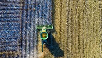 Materie Maturità 2021 tecnico agrario: le materie dell'elaborato