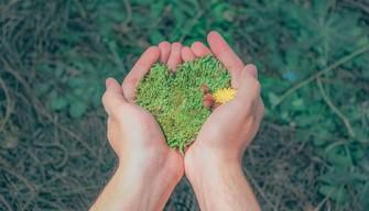 La Terra potrebbe essere l'unico pianeta a ospitare la vita nella Via Lattea: lo studio