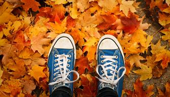 Equinozio di Autunno, quando inizia la stagione?