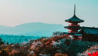 Fare un viaggio in Giappone quest'anno costerà la metà (o quasi)