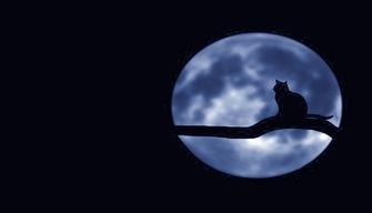 Halloween, il 31 ottobre 2020 ci sarà la luna blu: cos’è, quando e come vederla