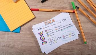 Schemi, appunti, riassunti e mappe concettuali: grazie ai colori si possono memorizzare meglio