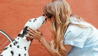 Test Veterinaria 2021: aule, sedi e orari della prova