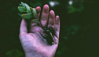 Che cos'è l'Earth Overshoot Day