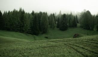 Boom di scuole clandestine no-vax nei boschi in Alto Adige