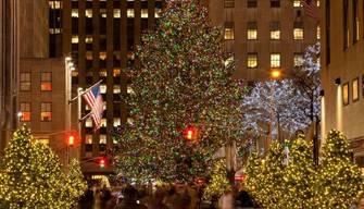 Gli Alberi di Natale più belli del Mondo nel 2021