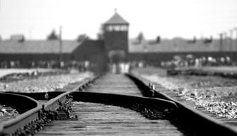 Giorno della Memoria: dalla morte di Hitler ad Auschwitz, tutto quello che gli studenti hanno “dimenticato”