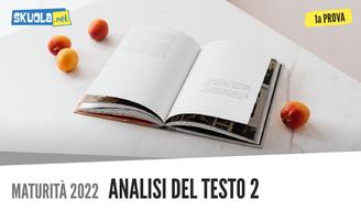 Prima prova maturità 2022 analisi testo 2: Giovanni Verga 'Nedda. Bozzetto siciliano'