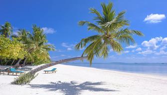 Alla scoperta della natura, fai il quiz per saperne di più!