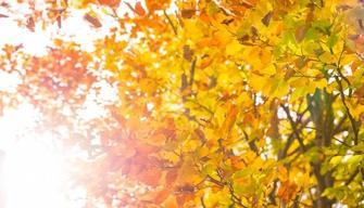 Quando cade l'equinozio d'autunno?
