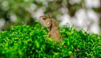 Perché oggi si celebra la Giornata mondiale contro lo sfruttamento dell'ambiente in guerra