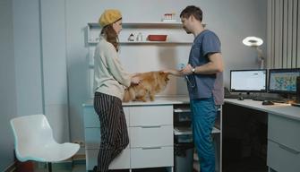 Test Veterinaria 2023, date, prove, graduatoria: tutti gli aggiornamenti sul TOLC-VET