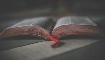 Simulazione prove INVALSI quinta superiore 2024: italiano