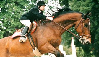 Matteo Messina Denaro e la storia del piccolo Giuseppe Di Matteo