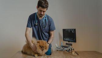 Qual è il punteggio minimo per entrare a Veterinaria?