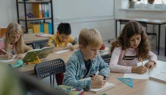 Polemica a scuola per questionario che chiede il gruppo etnico o la razza dell'alunno