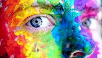 Carriera alias al liceo Monti di Chieri