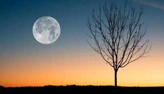 Superluna blu, quando vederla tra il 30 e il 31 agosto