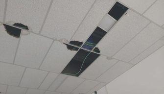 La scuola cade a pezzi, lo sfogo della studentessa: "È una situazione insostenibile che ha compromesso il nostro diritto allo studio"