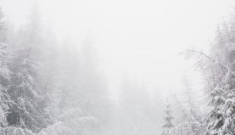 A 16 anni muore di freddo in Alto Adige, era uscita per una passeggiata