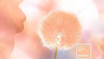 Pantone, il colore del 2024 è il Peach Fuzz