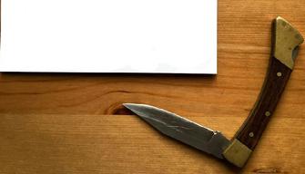 Prof accoltellata alla schiena da uno studente a Varese