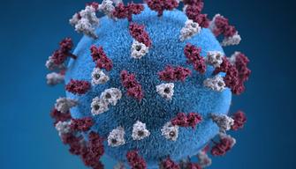 Cosa sappiamo sull'epidemia di morbillo in Italia